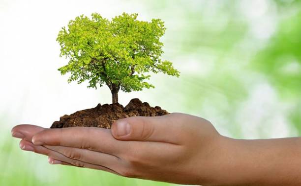 SEAMA desenvolve atividades para celebrar Dia Mundial do Meio Ambiente